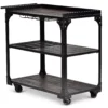 Sherlock Rolling Server Cart -Living Room Furniture Store 810423041 2