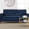 Brookside Tufted Velvet Sofa -Living Room Furniture Store 810527183 1