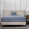 Isabelle Cream Upholstered Twin Wingback Bed -Living Room Furniture Store 810547603 810547607 810547628 810547611 1