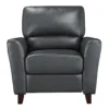 Dublin Gray Push-Back Recliner -Living Room Furniture Store 810616216 A0 3