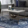 Center City Champagne Oak Coffee Table -Living Room Furniture Store 810628165 B0